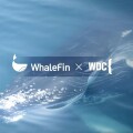 數位資產平台 WhaleFin 與國際鯨豚保護組織 WDC 達成合作