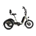 Rad Power Bikes 推出电动三轮车 售价2499美元